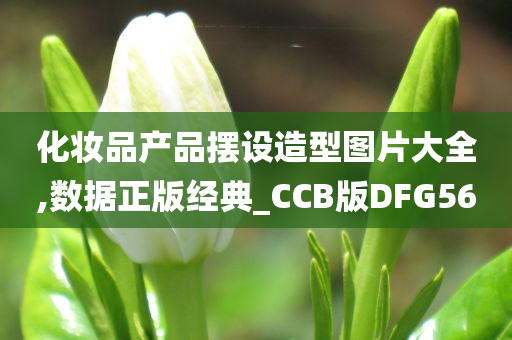 化妆品产品摆设造型图片大全,数据正版经典_CCB版DFG56