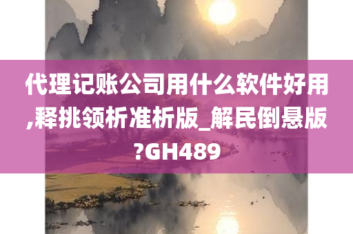 代理记账公司用什么软件好用,释挑领析准析版_解民倒悬版?GH489