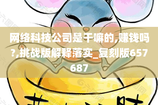 网络科技公司是干嘛的,赚钱吗?,挑战版解释落实_复刻版657687