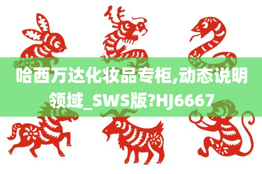 哈西万达化妆品专柜,动态说明领域_SWS版?HJ6667