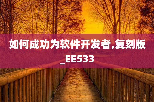 如何成功为软件开发者,复刻版_EE533