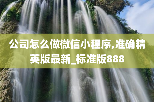 公司怎么做微信小程序,准确精英版最新_标准版888