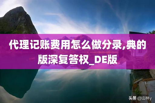 代理记账费用怎么做分录,典的版深复答权_DE版