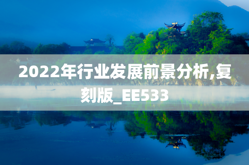 2022年行业发展前景分析,复刻版_EE533