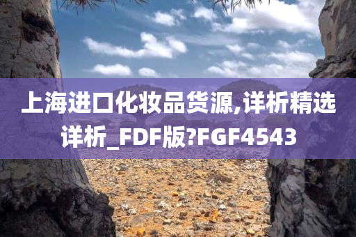 上海进口化妆品货源,详析精选详析_FDF版?FGF4543