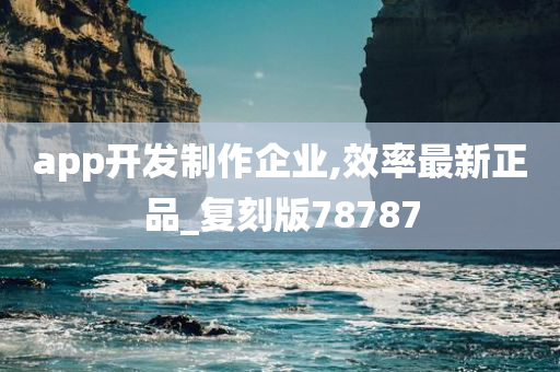 app开发制作企业,效率最新正品_复刻版78787