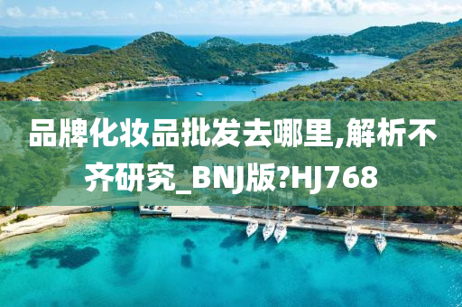 品牌化妆品批发去哪里,解析不齐研究_BNJ版?HJ768