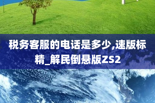 税务客服的电话是多少,速版标精_解民倒悬版ZS2