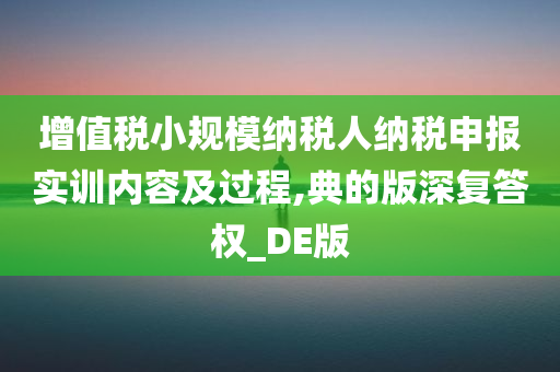 增值税小规模纳税人纳税申报实训内容及过程,典的版深复答权_DE版