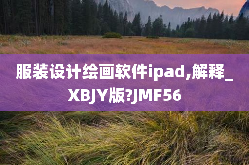 服装设计绘画软件ipad,解释_XBJY版?JMF56