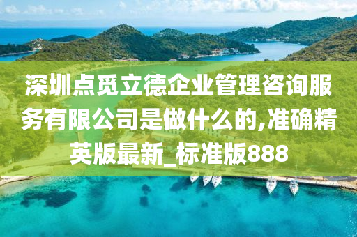 深圳点觅立德企业管理咨询服务有限公司是做什么的,准确精英版最新_标准版888