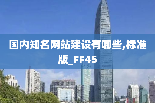 国内知名网站建设有哪些,标准版_FF45