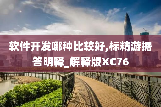 软件开发哪种比较好,标精游据答明释_解释版XC76