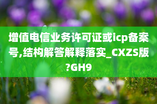 增值电信业务许可证或icp备案号,结构解答解释落实_CXZS版?GH9