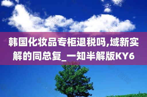 韩国化妆品专柜退税吗,域新实解的同总复_一知半解版KY6