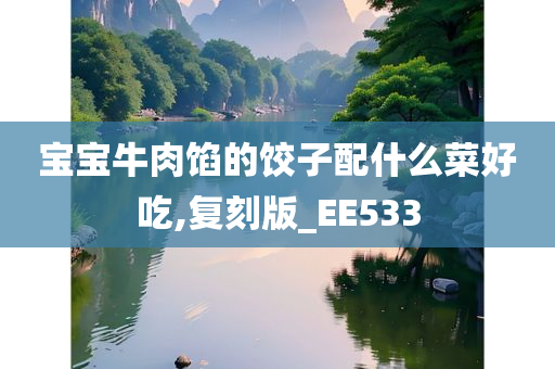 宝宝牛肉馅的饺子配什么菜好吃,复刻版_EE533