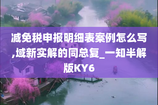 减免税申报明细表案例怎么写,域新实解的同总复_一知半解版KY6