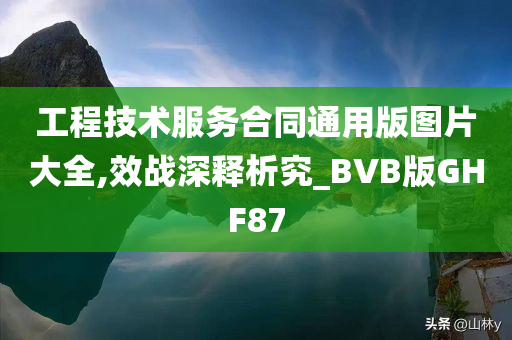 工程技术服务合同通用版图片大全,效战深释析究_BVB版GHF87