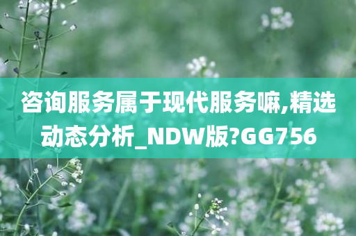 咨询服务属于现代服务嘛,精选动态分析_NDW版?GG756