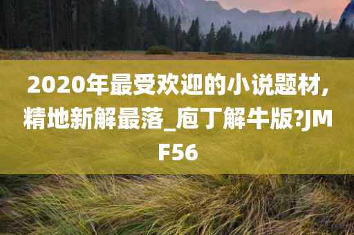 2020年最受欢迎的小说题材,精地新解最落_庖丁解牛版?JMF56