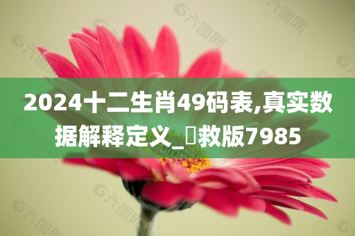 2024十二生肖49码表,真实数据解释定义_劻救版7985