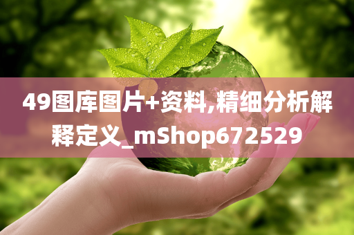 49图库图片+资料,精细分析解释定义_mShop672529