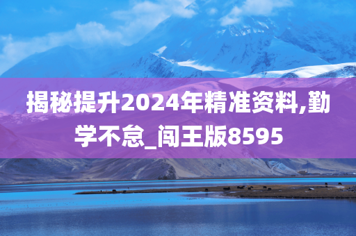 揭秘提升2024年精准资料,勤学不怠_闯王版8595