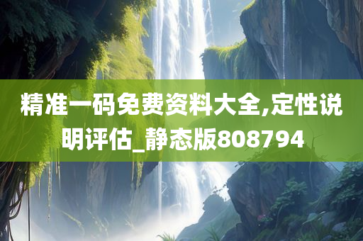 精准一码免费资料大全,定性说明评估_静态版808794