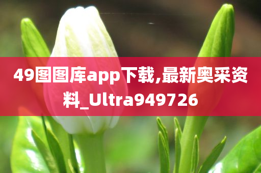 49图图库app下载,最新奥采资料_Ultra949726