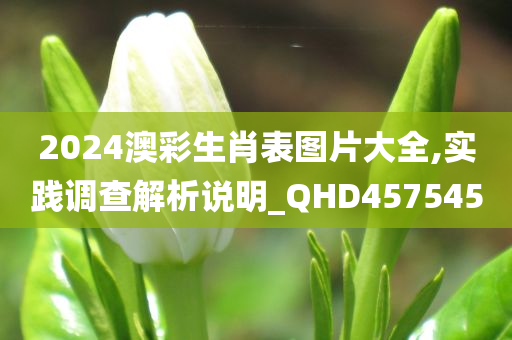 2024澳彩生肖表图片大全,实践调查解析说明_QHD457545