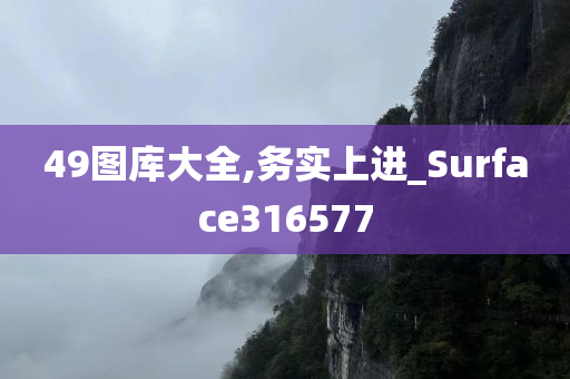 49图库大全,务实上进_Surface316577