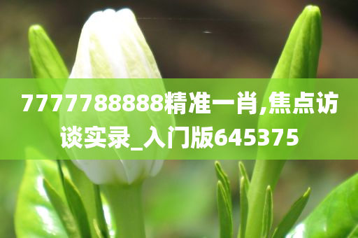 7777788888精准一肖,焦点访谈实录_入门版645375