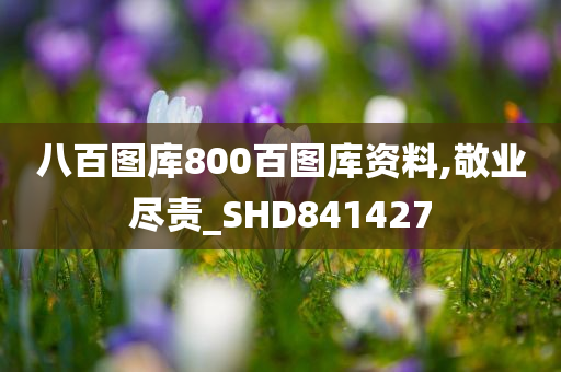 八百图库800百图库资料,敬业尽责_SHD841427