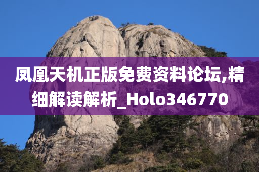 凤凰天机正版免费资料论坛,精细解读解析_Holo346770