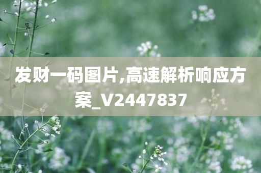 发财一码图片,高速解析响应方案_V2447837