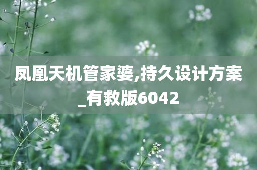 凤凰天机管家婆,持久设计方案_有救版6042