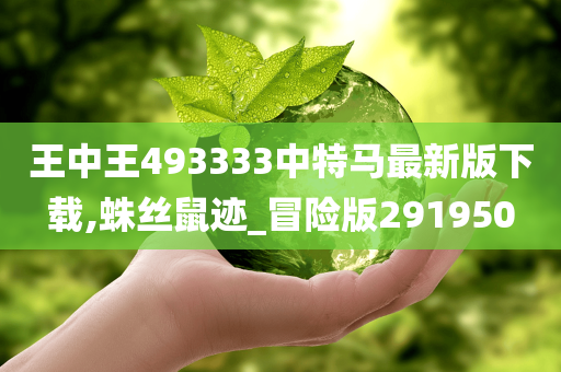 王中王493333中特马最新版下载,蛛丝鼠迹_冒险版291950