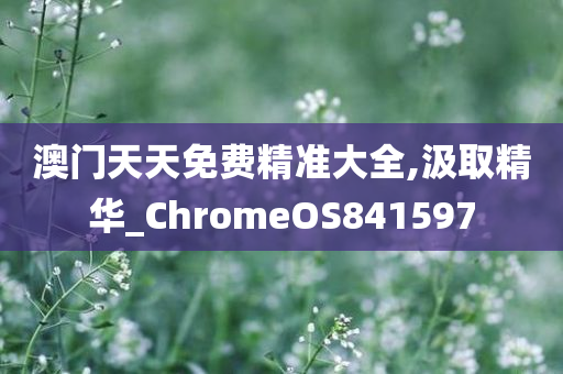 澳门天天免费精准大全,汲取精华_ChromeOS841597