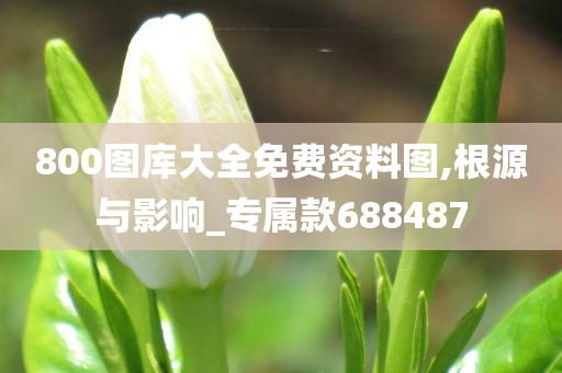 800图库大全免费资料图,根源与影响_专属款688487