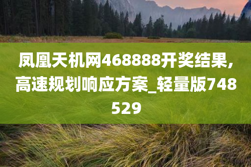 凤凰天机网468888开奖结果,高速规划响应方案_轻量版748529