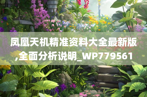 凤凰天机精准资料大全最新版,全面分析说明_WP779561