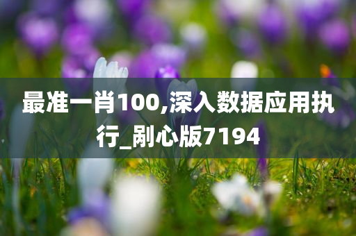 最准一肖100,深入数据应用执行_剐心版7194