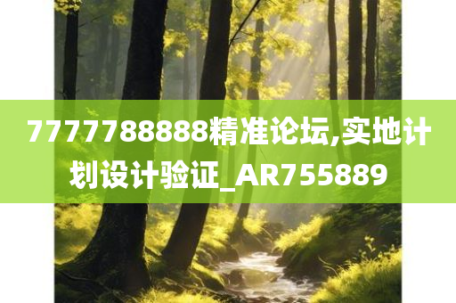 7777788888精准论坛,实地计划设计验证_AR755889