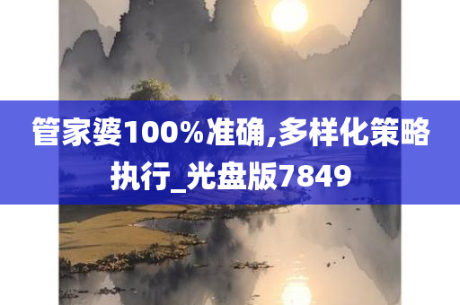 管家婆100%准确,多样化策略执行_光盘版7849