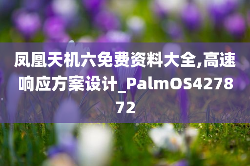 凤凰天机六免费资料大全,高速响应方案设计_PalmOS427872