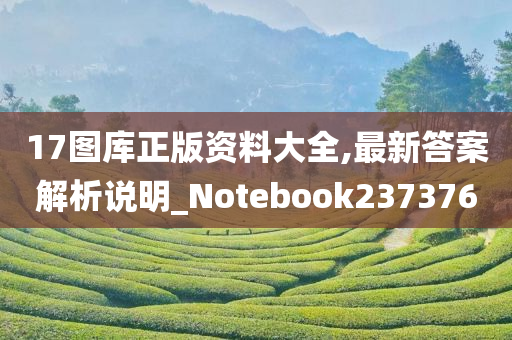 17图库正版资料大全,最新答案解析说明_Notebook237376