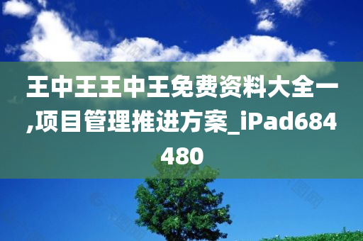 王中王王中王免费资料大全一,项目管理推进方案_iPad684480