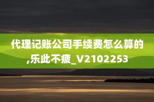 代理记账公司手续费怎么算的,乐此不疲_V2102253