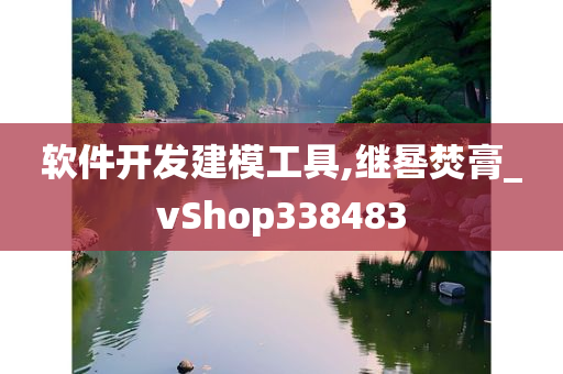 软件开发建模工具,继晷焚膏_vShop338483