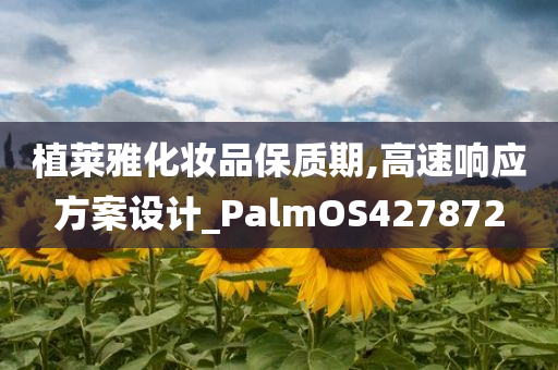 植莱雅化妆品保质期,高速响应方案设计_PalmOS427872